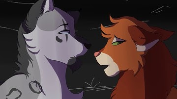 Let Her Go -Ashfur- || Part 6