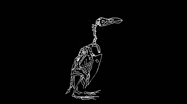 Great Auk - Marianne Wilde