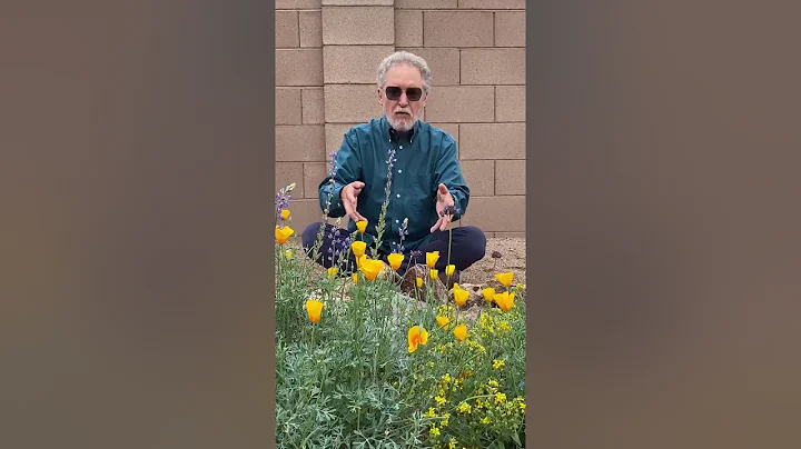 The Hand Washing Song by Bruce Phillips