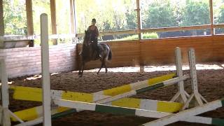 Estrella Jumping A Short Course At Whip N Spur.