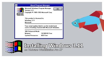 Installing Windows 3.11 on VMware Workstation Pro 17