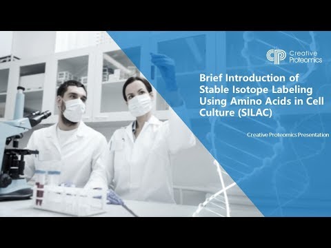 Brief Introduction of SILAC
