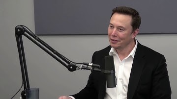 Limbic System VS Prefrontal Cortex (Elon Musk)