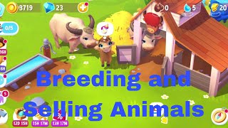 FarmVille 3 - Farm Animals : Breeding New Animals and Selling Elder Animals screenshot 4