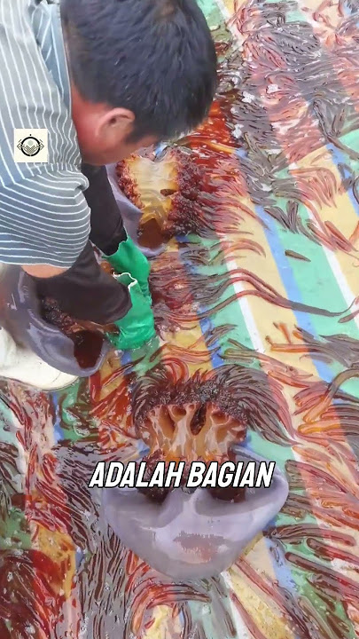 This Is Why Fishermen Throw Away Jellyfish Tentacle Tips