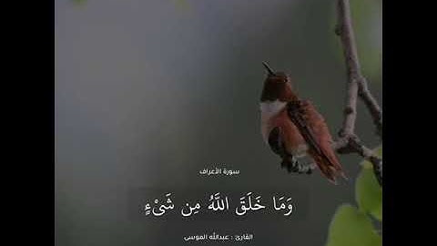 #سورة_الأعراف ﴿أَوَلَمْ يَنْظُرُوا فِي مَلَكُوتِ السَّمَاوَاتِ وَالأرْضِ﴾