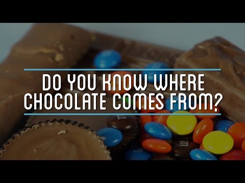 ¿Sabes de dónde viene el chocolate?