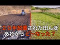 20年放置された田んぼ…あれからどーなった?