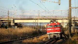 EF81-95形 大甕