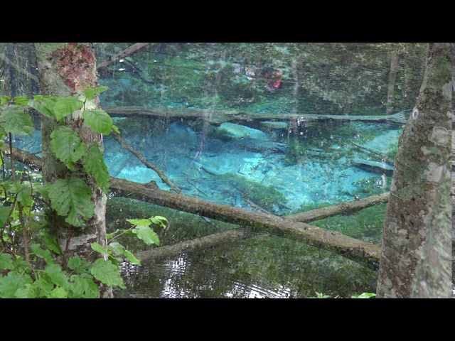 北海道3大ブルーの1つ 神の子池 Youtube 北海道3大ブルーの1つ 神の子池 Youtube