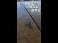 (釣り)水深たった30センチの浅瀬にルアーを投げてたら #shorts