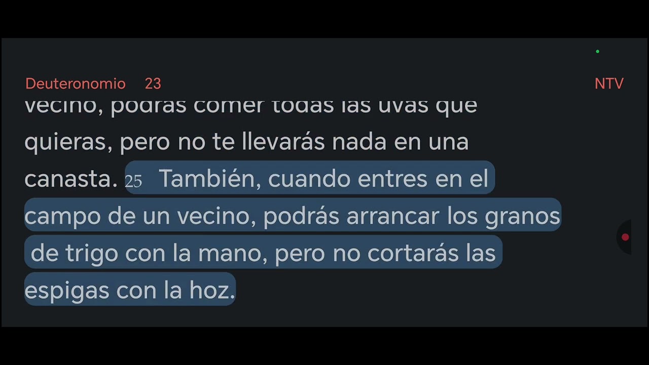 28 Febrero Deuteronomio 22,23,24