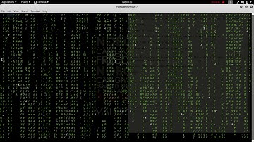 How to make matrix effect in kkali linux