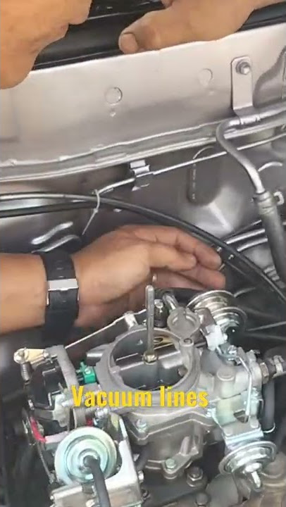VACUUM LINES