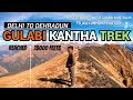 GULABI KANTHA TREK || PART-1 || DELHI TO DEHRADUN || REACHED BARKOT