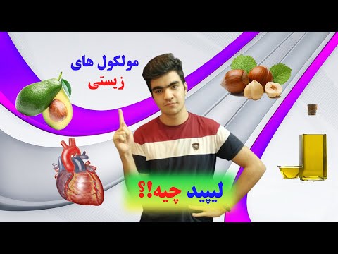 لیپید ها چی هستند؟/تفاوت لیپید و چربی (مولکول های زیستی)