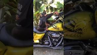 Limbani The Chimpanzee On A #Harleydavidson