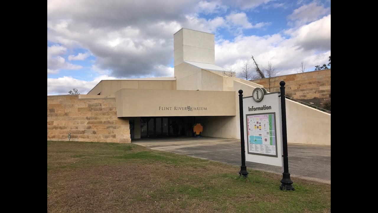 Flint Riverquarium in Virtual Reality 3D (360 degrees) YouTube