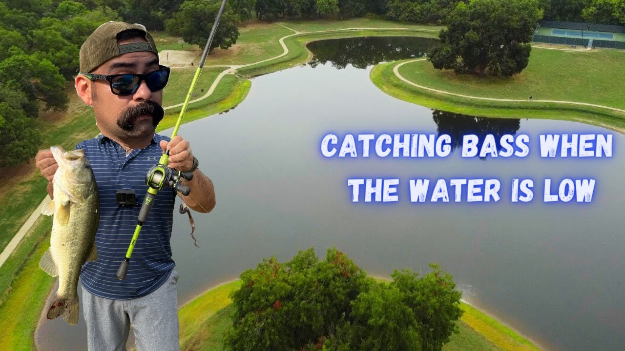Catching bass out on a local Pond! YouTube