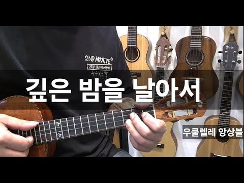깊은 밤을 날아서(우쿨렐레3중주) - 이문세