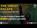Netajithe great escape  trailer