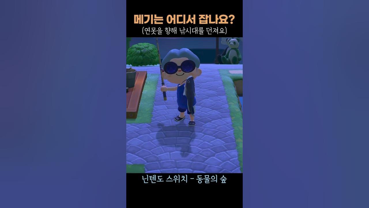 동물의숲] 메기는 어디서 잡나요? #모동숲 - Youtube