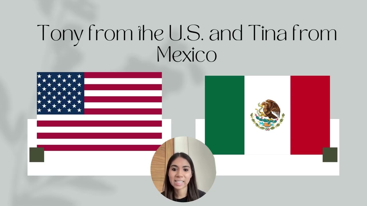 Midterm Exam. Immersive Communication