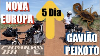 Brasil Especial 5 Dia Caminho Da Fé - Centro Paulista - Nova Europa Para Gavião Peixoto 16 11 2021