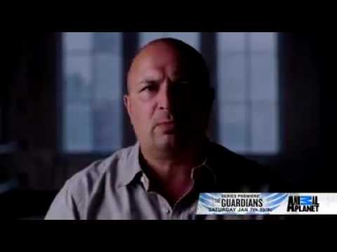 The Guardians our new reality show premiering January 7th on ... The Guardians our new reality show premiering January 7th on ...