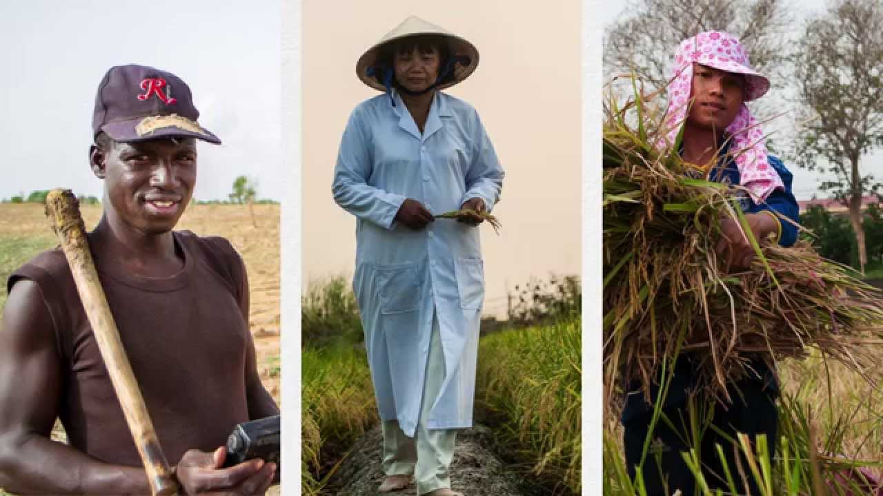 Agricultural Weather Stations in Climate Smart Agriculture