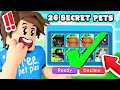 I TRADED 26 SECRET PETS To A NOOB Account And THIS HAPPENED?! In BubbleGum Simulator (Roblox)