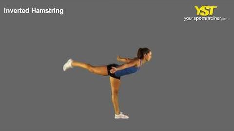 Inverted Hamstring Stretch