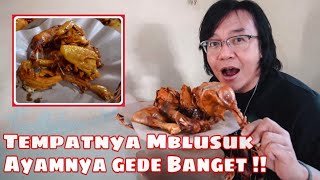 Ayam nelongso jember 1. 