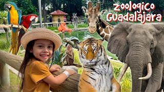 Zoologico Guadalajara 2023 - Tour Increible Y Divertido Por Todos Los Rincones De El