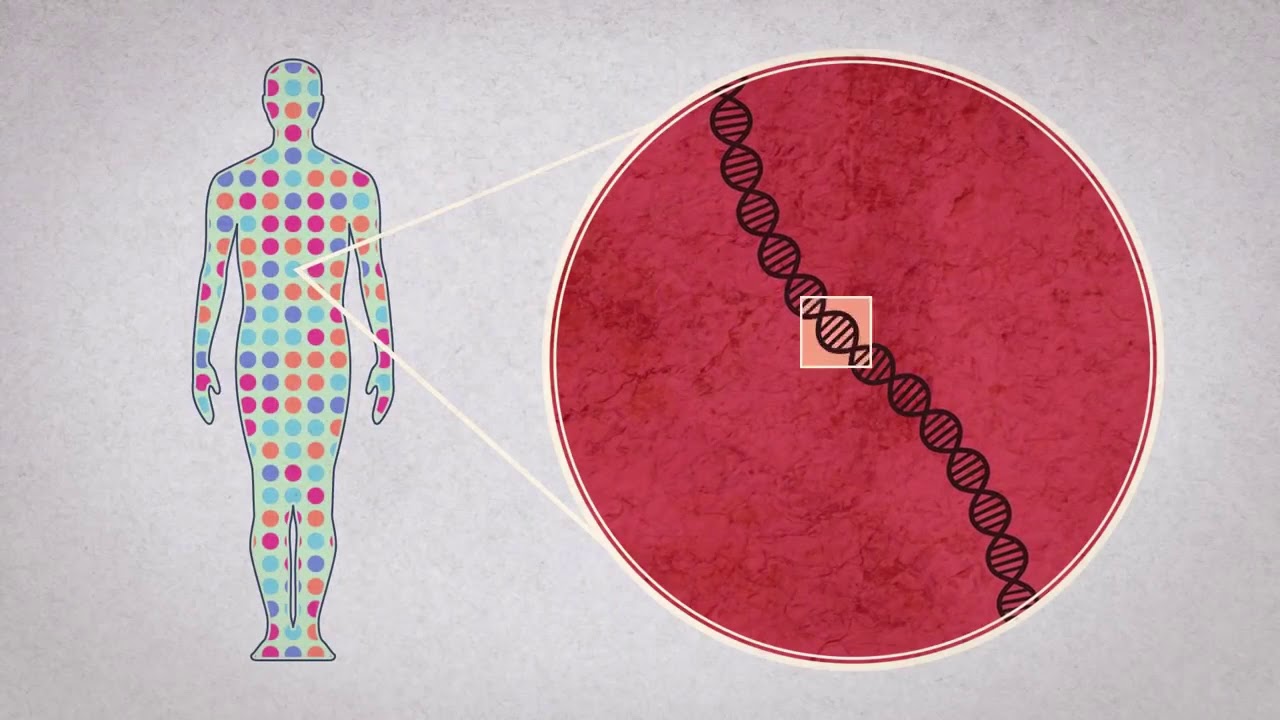 Todo Sobre El Proyecto Genoma Humano Pgh Youtube