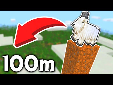 ヤギを100mの高さから落とすと!?【マイクラ】 #Shorts