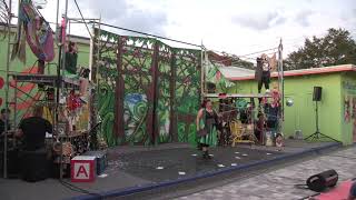 I Know Its Today Shrek The Musical Dingbat Theatre Project