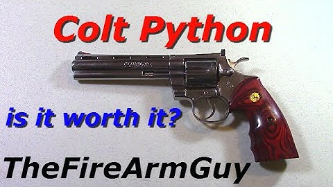 Rick Grimes $2000 Colt Python - Is It Worth It? - TheFireArmGuy