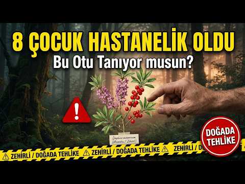 8 Çocuğu Zehirledi! Doğada Gördüğünüzde Kesinlikle Yemeyin