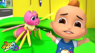 Bugs Bugs Chanson,Trois Petits Cochons et Plus Éducative Vidéos