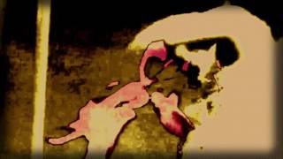 Abstract Fields - Sunset Sadness