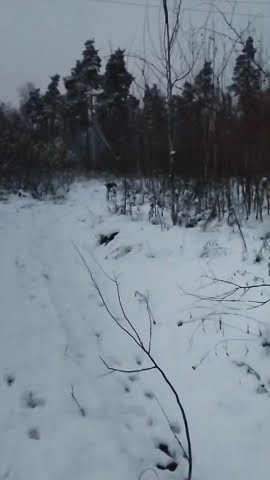 youtube.com