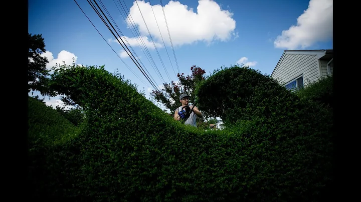 Virginia Beach resident trims hedges to look like ...