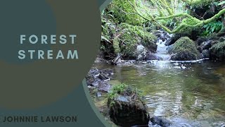 8 Hours Calming Nature Sounds-Sound Of Water Relaxation-Birdsong Meditation-Johnnie Lawson