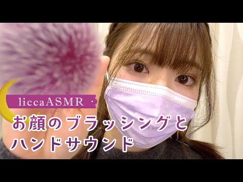 【ASMR】メイクブラシでお顔をなでなで😌耳かき&ハンドサウンド💤Face Brushing & Hand Sound/얼굴의 칫솔질　앤　손의 소리 (声なし：No Talking)