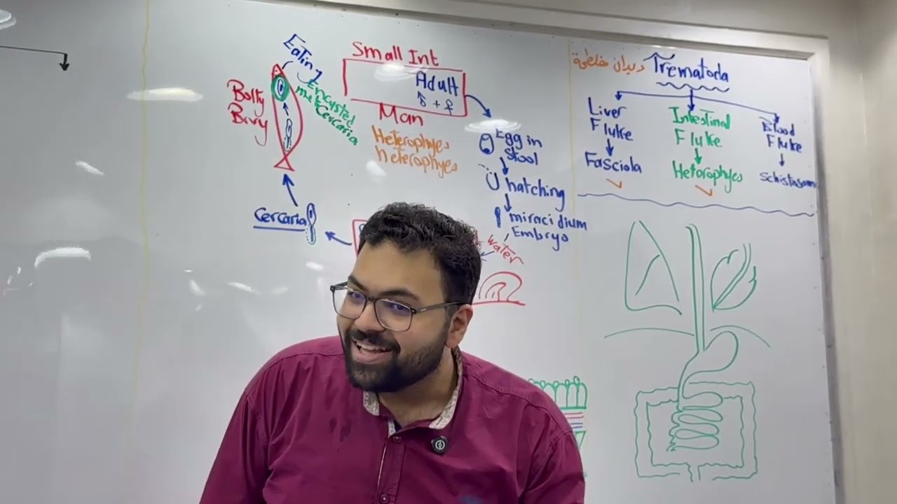 3. Trematoda (2) | Heterophyes + Diagnosis | Parasitology | Dr. ElToukhy | Kasr Al Ainy | (197)