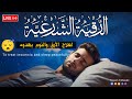 رقية شرعية كل ليلة قبل النوم علاج الأرق والكوابيس تحصين من العين والسحر والحسد Ruqyah For Sleep 