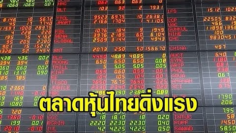 ตลาดหุ้นไทยดิ่งแรง เหตุการเมืองยืดเยื้อ นักลงทุนชะลอลงทุน-เทขายหุ้น ลดความเสี่ยง