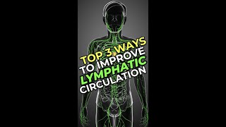 Top 3 Ways To Improve Lymphatic Circulation