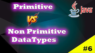 Java Primitive vs Non Primitive Data Types